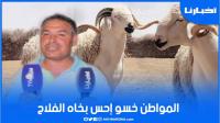 أكبر حولي في سوق تطوان واصل ثمنه ل6000 درهم وفلاح ل"أخبارنا": المواطن خاصو يحس بينا راه حنا مضرورين