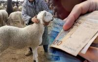 عاجل .. أخنوش يعلن صرف أجور الموظفين قبل أسبوع من يوم عيد الأضحى