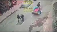 شوفو كيفاش البوعارة كيشفرو غطاء ديال القوادس