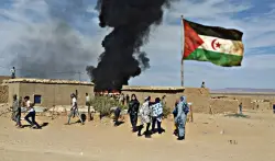 انفلات أمني يهز مخيمات تندوف من جديد.. الرصاص الحي يُشعل مواجهات قبلية خطيرة(فيديو)