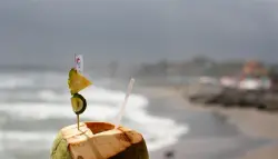 رشفة قاتلة من ماء جوز الهند تُنهي حياة رجل خلال ساعات