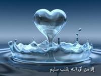 صِفَةُ القَلْبِ السَّلَيمِ لابْنُ القَيِمِ رَحِمَهُ الله