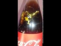 فضيحة جديدة لشركة كوكا