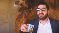 بالفيديو:مسؤول إيراني ينصح بشرب بول الإبل للشفاء من "كورونا"