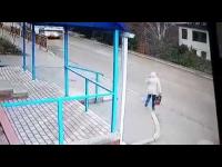 نجاة فتاة روسية من الموت بأعجوبة(فيديو)