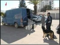 حجز 5 أطنان و400 كلغ من الشيرا بمكناس