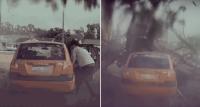 سائق ينجو بأعجوبة بعد  سقوط أجزاء من شجرة على سيارته(فيديو)
