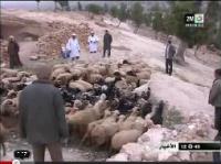 الحكومة تعوض الفلاحين المتضررين و تدعم الأعلاف 