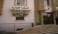 صدور الحكم لصالح المستثمر الأجنبي في قضية "سيلفر فود" وحصوله على تعويض مالي ضخم