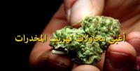 أغبى محاولات تهريب المخدرات..!!