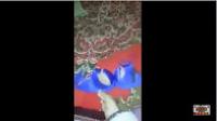 خطير شاهد ماذا وجدت "مغربية "داخل حاملات الصدر"