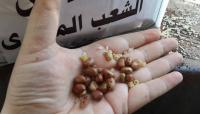 مساعدات الجيش المصري لغزة منتهية الصلاحية