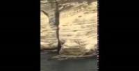 بالفيديو.. لبناني يُنفذ قفزة هائلة من أعلى صخرة الروشة