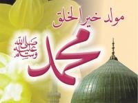 الاحتفال بذكرى المولد النبوي بين البدعة و السنة