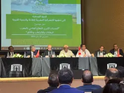 بالأرقام.. بنعلي يُكذب بووانو بشأن اقتصار دعم الطماطم على اثنين من الفلاحين