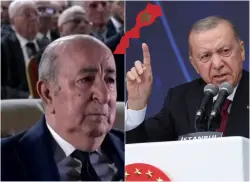 هزلت.. تبون يتوسل أردوغان للتوسط له في ملف جبهة "البوليزاريو" الانفصالية