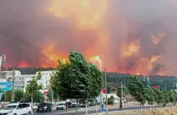 هذه هي العقوبات التي تنتظر الشخص الذي أضرم النار في غابة "كرانخا" بشفشاون