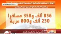 تدفق قياسي لمغاربة العالم خلال العطلة