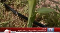 المغرب : الفلاحة التضامنية أداة لتعزيز التنمية بالعالم القروي