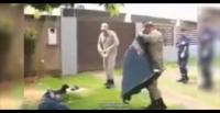 بالفيديو.. كلب يدافع عن صاحبه المصاب