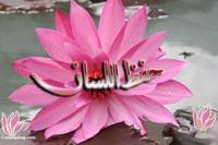 حفظ اللسان نصف الطريق إلى الجنة