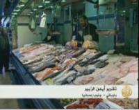 تداعيات رفض البرلمان الأوروبي تمديد اتفاقية الصيد البحري على سكان بلدة برباتي الإسبانية