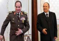 صحيفة : هذه أسباب زيارة السيسي للجزائر