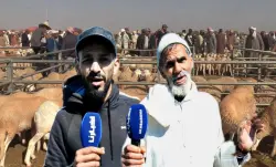 مواطنون بطنجة يستنكرون غلاء الأكباش قبل العيد: حولي فيه غير العظام ب2700 درهم