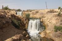 الصورة تعبيرية فقط