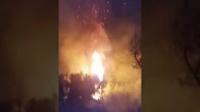 حريق مهول ببني ملال يأتي على عدد هائل من حقول الزيتون والرمان