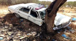 صورة من الأرشيف