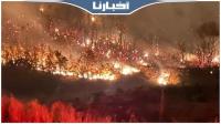 الرياح والحرارة تعيدان موجة الحرائق إلى إقليم شفشاون (فيديو)