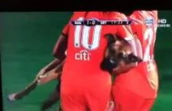 كلب يقتحم الملعب ويتحرّش باللاعبات جنسياً  