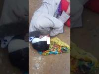 بالفيديو المؤلم... العثور على الطالبة الجامعية "سارة" في وضعية مآساوية بالشارع بعد اختفاء الجمعيات وأصحاب "السيلفيات"