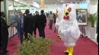معرض الدار البيضاء للدواجن