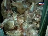 فضيحة كيفية تصنيع مرتديلا دجاج