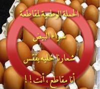 أسعار البيض تحلق مجددا والمغاربة يدعون لمقاطعة شاملة