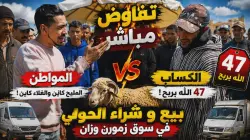 من سوق وزان للماشية.."أخبارنا" ترصد لكم لحظة نقاش ساخن بين مواطن و"كساب" حول شراء أضحية العيد