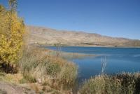 صورة من الأرشيف