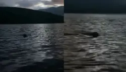 عيون تلمع في الظلام تثير الذعر في بحيرة بريطانية.. والحقيقة تكشف مفاجأة!
