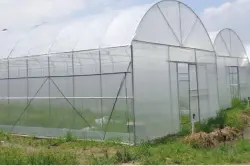 هل يستغل "الشناقة" الفرصة كالعادة.. أزمة البلاستيك الزراعي تنذر بارتفاع أسعار الخضر والفواكه بالأسواق المغربية