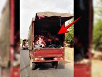 حجز لحوم معدة للاستهلاك على متن " تريبورتور " يفجر فضيحة مدوية بنسليمان