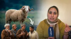 بعد التنمر عليها.. متابعة لجريدة "أخبارنا" تخرج عن صمتها وترد على منتقديها: الجميع لديه الحق في الكبش