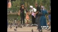 تزايد إقبال المغاربة على التواصل عبر العالم الإفتراضي مقارنة بالعالم الواقعي