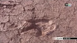 آثار ديناصورات بمنتزه جيوبارك مكون بازيلال‏