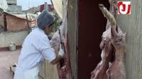 شابة مغربية من طالبة ممرضة إلى جزارة محترفة