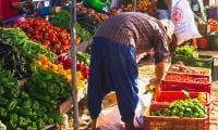 هل ستؤثر حالة الطوارئ الصحية على تموين الأسواق بالمنتجات الفلاحية خلال الأسابيع القادمة؟