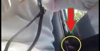 لحظة تحرش رجل بفتاة داخل حافلة (فيديو وصور)