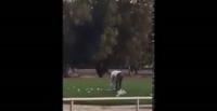 شاهد ماذا فعل رجال الأمن مع شخصين تركا القمامة بالحديقة (فيديو)