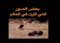صور مؤلمة توقف لها العالم منحني الرأس..!